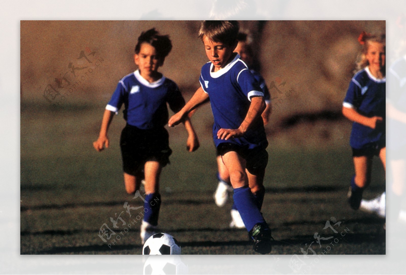 今年赛季的 今年赛季的