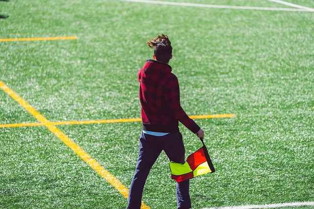 迷和媒体的 迷和媒体的