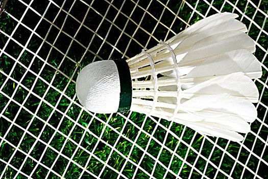 字化时代 字化时代